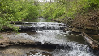 Radnordam Adobestock 108237534